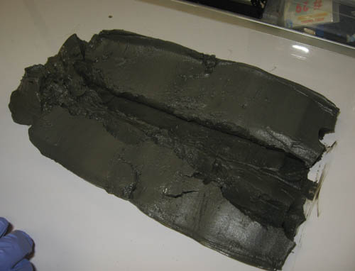 the mud